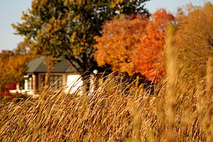 fall colors